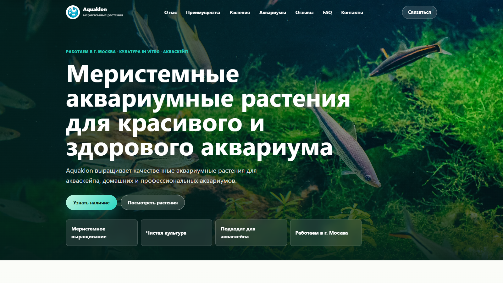 Aquaklon | Меристемные аквариумные растения